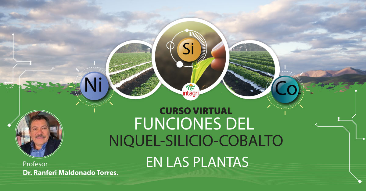 Curso Virtual Funciones del níquel, silicio y cobalto en las plantas Inicio Intagri S.C.